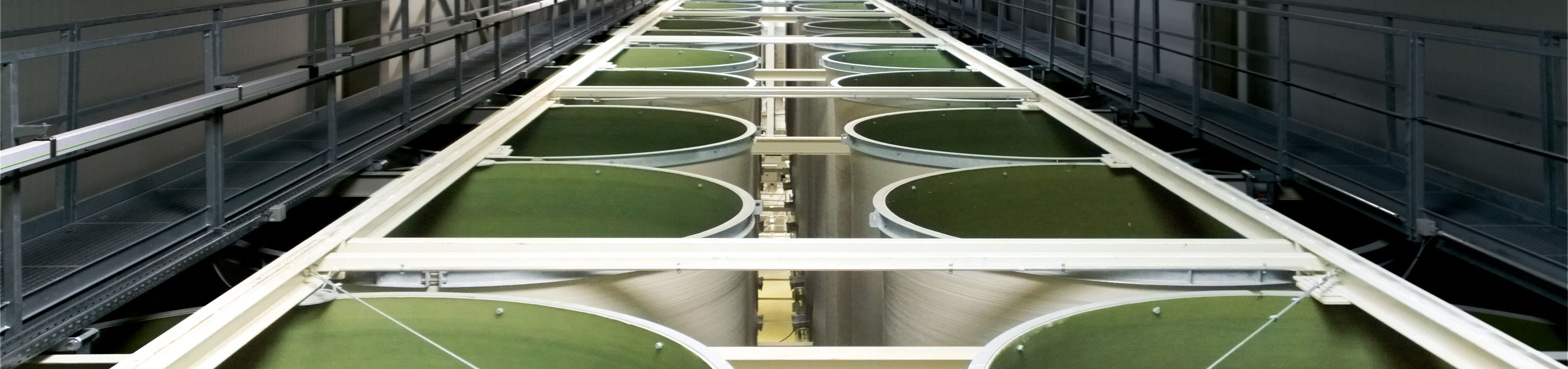 Plusieurs silos verts d'un système de silos en ligne d'en haut avec des passerelles latérales.